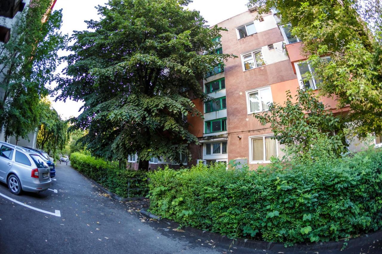 Apartament Family Rivulus 9 巴亚马雷 外观 照片